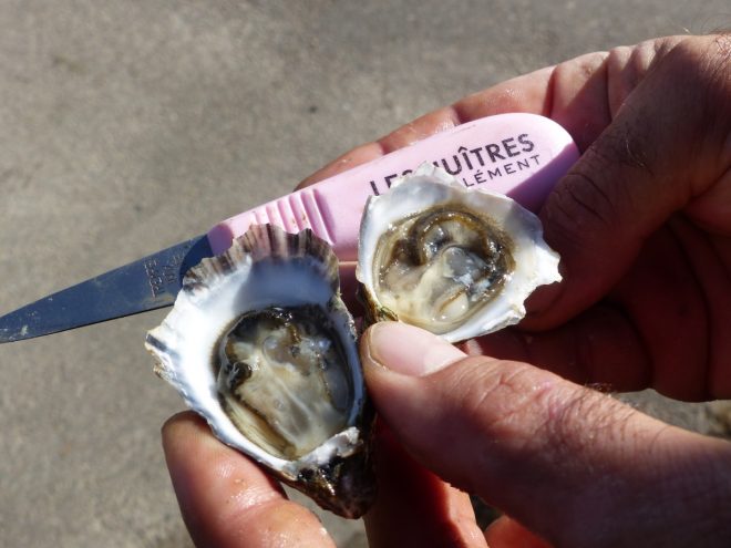 Huîtres de la Ferme des Baleines - 16 octobre 2018