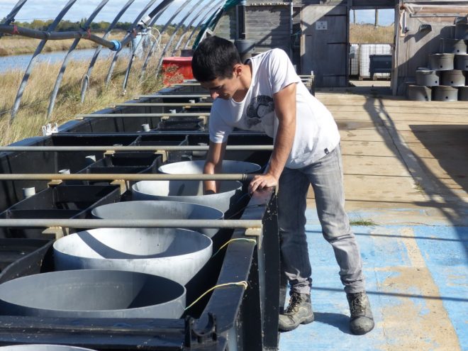 Ferme des Baleines - 16 octobre 2018