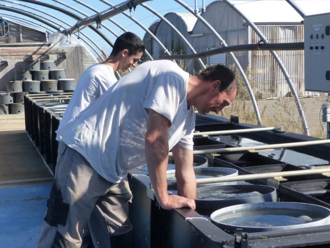 Ferme des Baleines - 16 octobre 2018