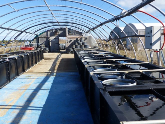 Ferme des Baleines - Tuyaux et buses - 16 octobre 2018