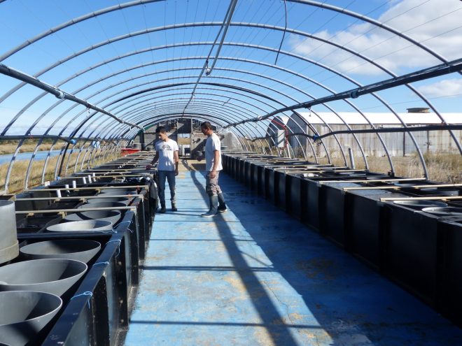 Ferme des Baleines - 16 octobre 2018