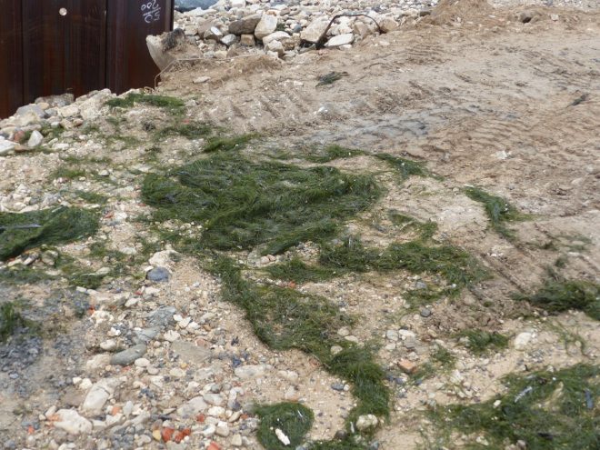 Rivedoux-Plage - Travaux digue - Pompage - 25 octobre 2018