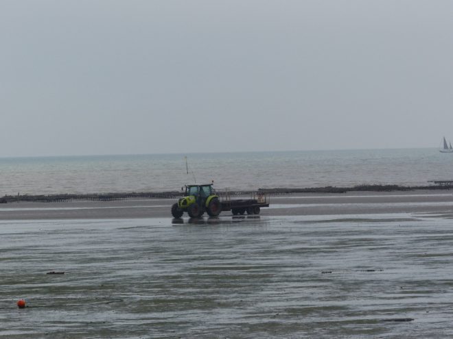 Rivedoux-Plage - Travaux digue - Mer - 25 octobre octobre 2018