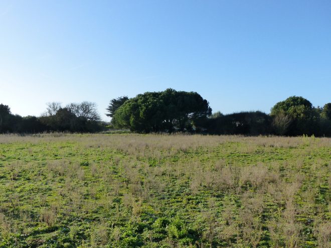 Le Bois-Plage - Hameau de Rochefort - 9 décembre 2015