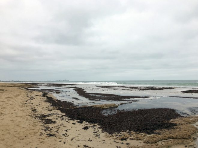 Ile de Ré - Météo 2019 - 1er janvier 2019 - Août 2019