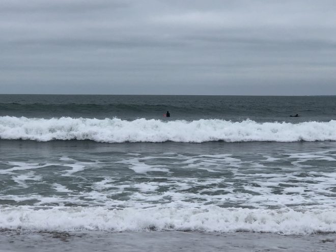 Ile de Ré - Météo 2019 - 1er janvier 2019 - Août 2019