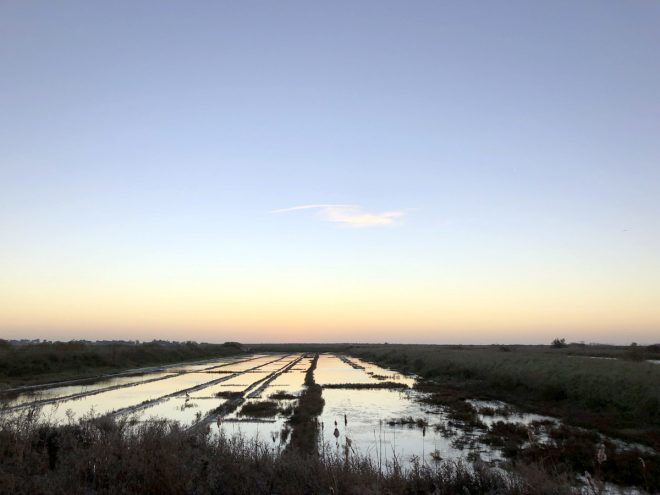 Ile de Ré - Météo 2019 - 3 janvier 2019 - Octobre 2019