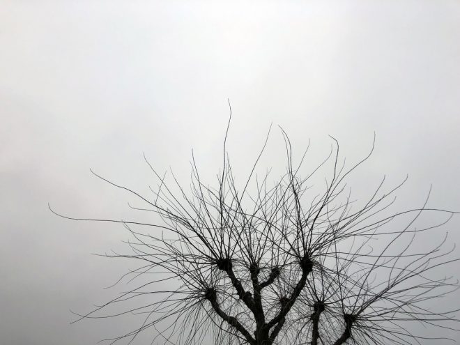 Ile de Ré - Météo 2019 - 31 décembre 2018 - Juillet 2019