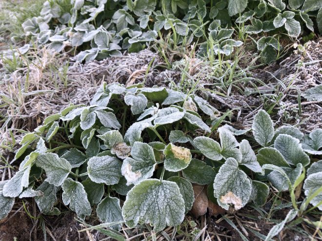 Ile de Ré - Météo 2019 - 4 janvier 2019 - Novembre 2019