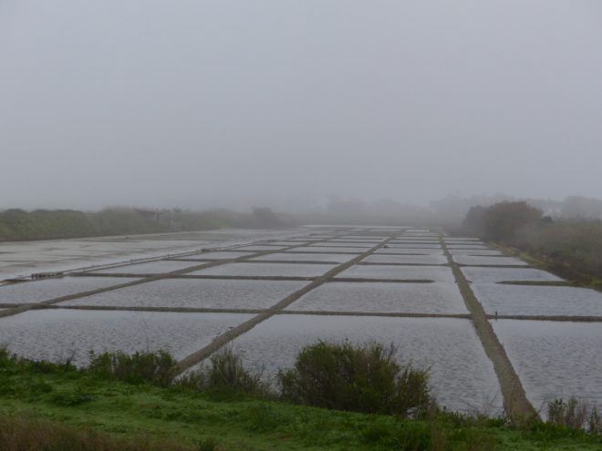 Ile de Ré - Météo 2019 - 25 décembre 2018 - Janvier 2019