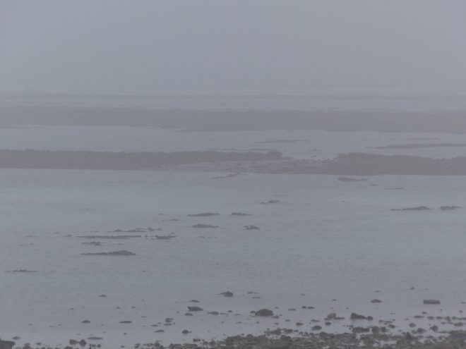 Ile de Ré - Météo 2019 - 25 décembre 2018 - Janvier 2019