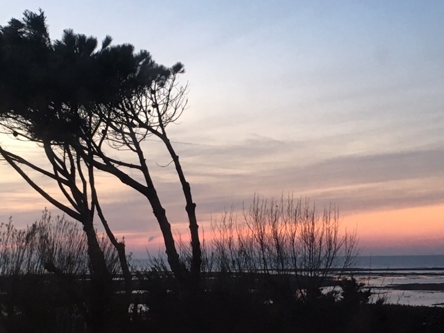 Ile de Ré - Météo 2019 - 4 janvier 2019 - Novembre 2019