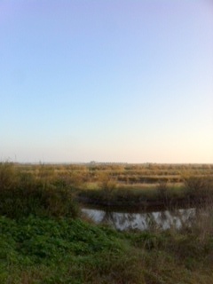 Ile de Ré - Météo 2019 - 28 décembre 2018 - Avril 2019