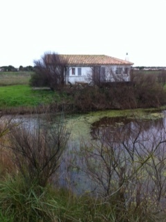 Ile de Ré - Météo 2019 - 1er janvier 2019 - Août 2019