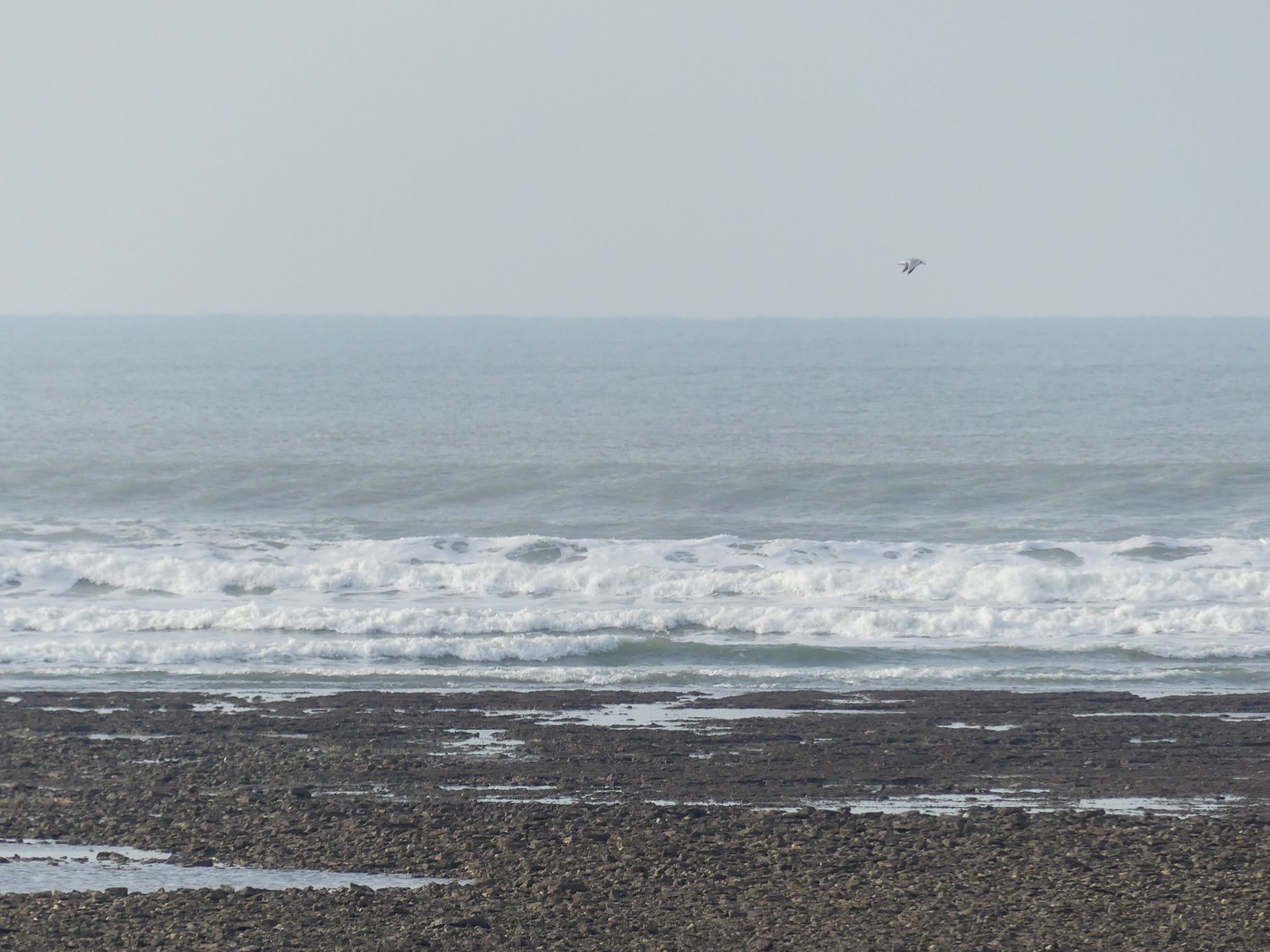 Chronique De La Mer De Brouillard Météo île de Ré 2020 – Chroniques ordinaires des petits moments de la