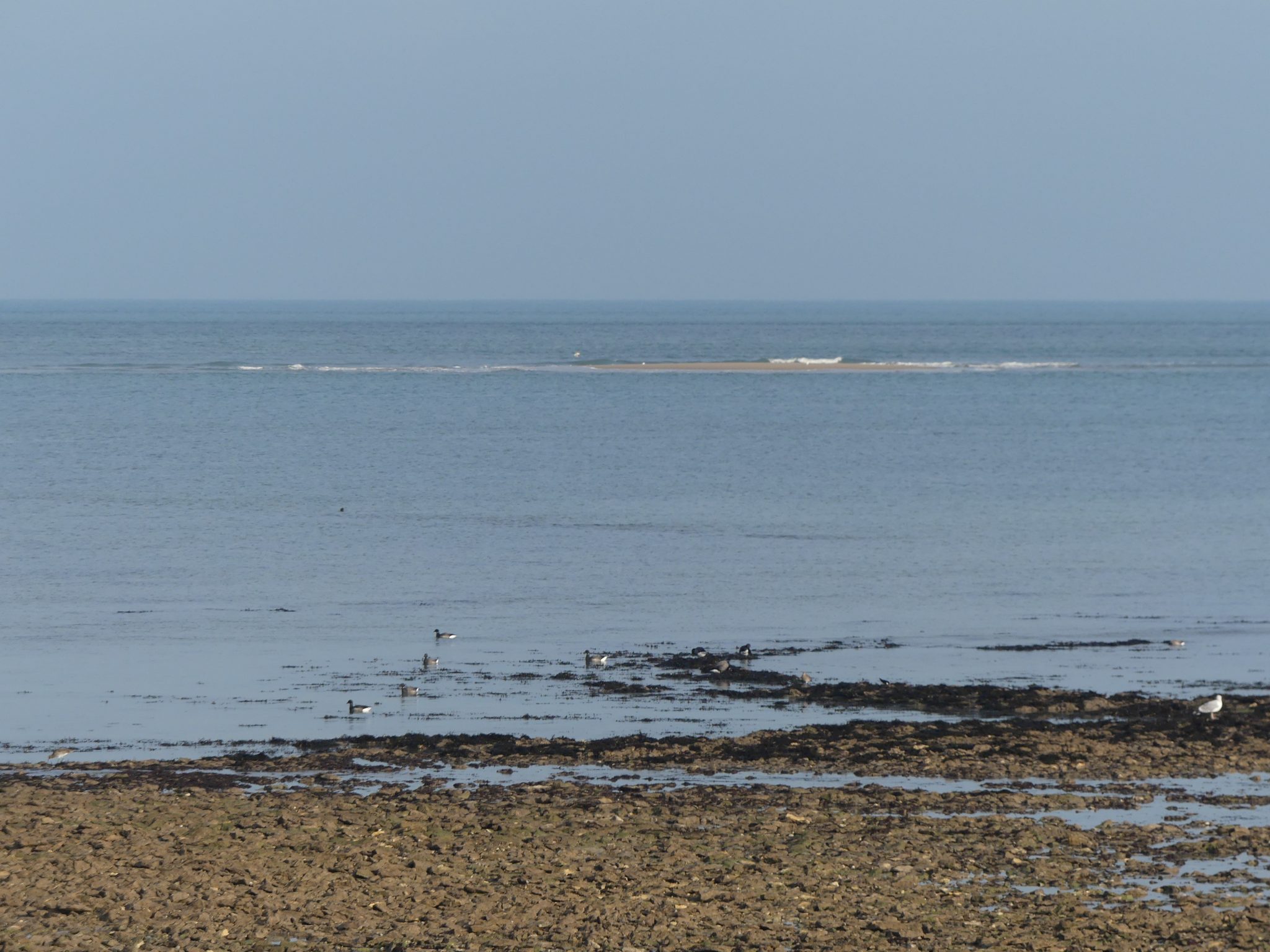 Chronique De La Mer De Brouillard Météo île de Ré 2020 – Chroniques ordinaires des petits moments de la
