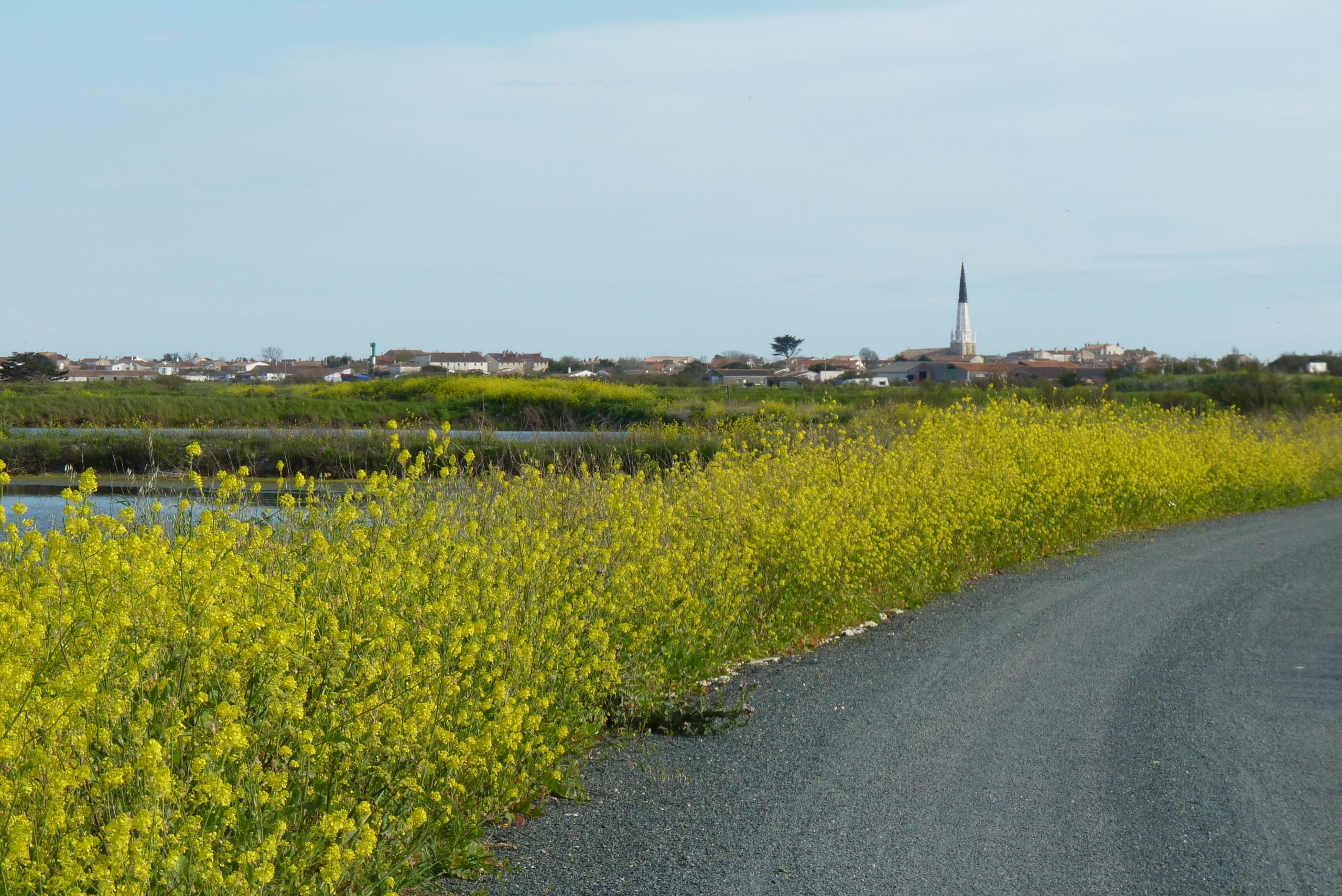 brassière ouverture devant