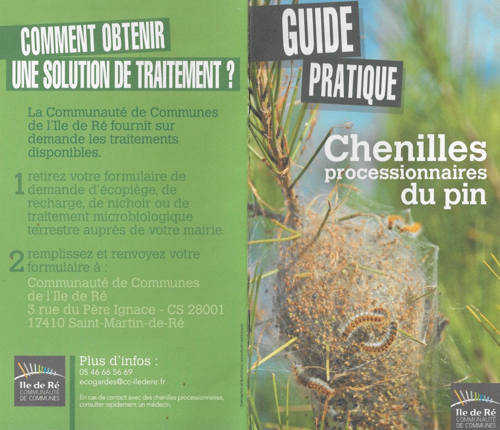 Guide pratique de la chenille processionnaire du pin