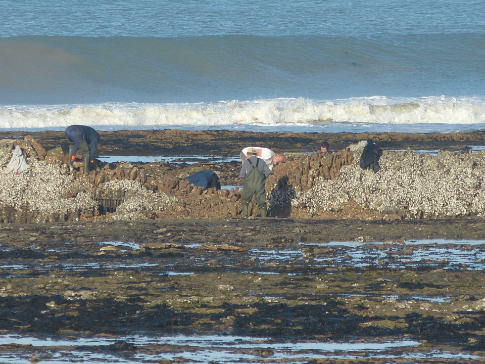 La Grande-Ecluse - Les Portes-en-Ré - 7 janvier 2014