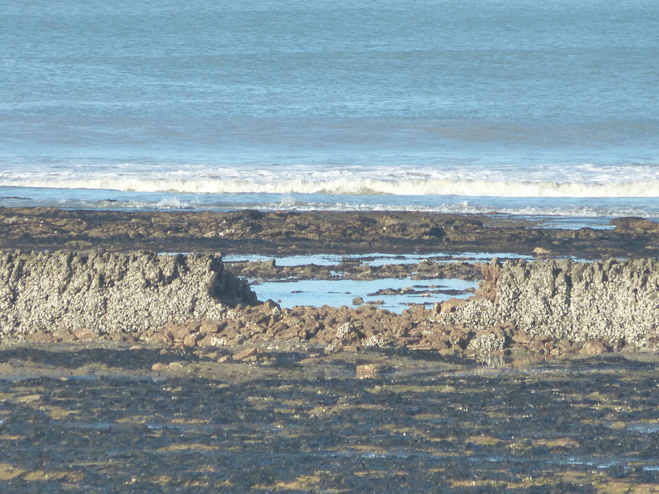La Grande-Ecluse - Les Portes-en-Ré - 7 janvier 2014