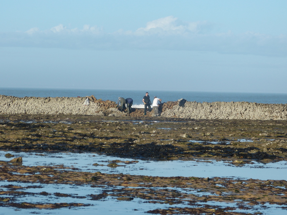 La Grande-Ecluse - Les Portes-en-Ré - 7 janvier 2014