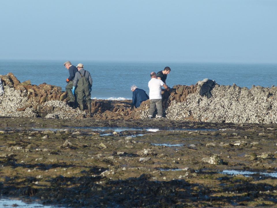 La Grande-Ecluse - Les Portes-en-Ré - 7 janvier 2014