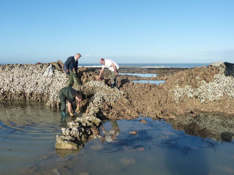 La Grande-Ecluse - Les Portes-en-Ré - 7 janvier 2014