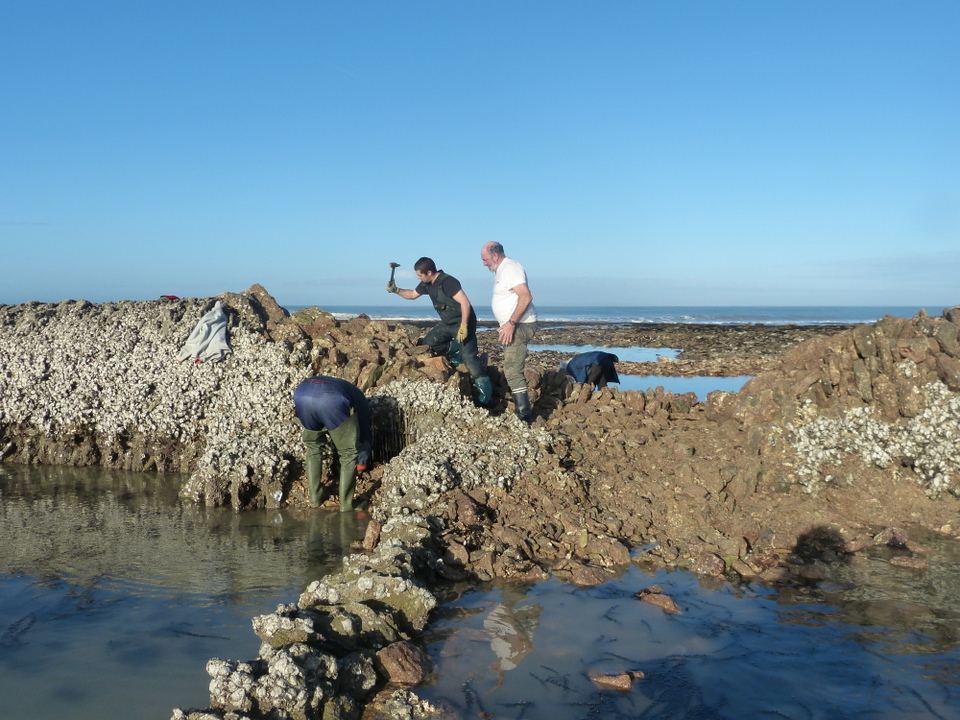 La Grande-Ecluse - Les Portes-en-Ré - 7 janvier 2014