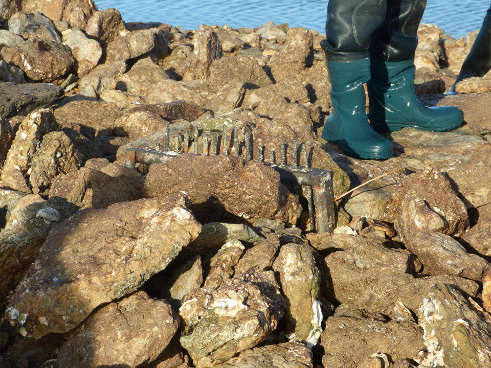 La Grande-Ecluse - Les Portes-en-Ré - 7 janvier 2014