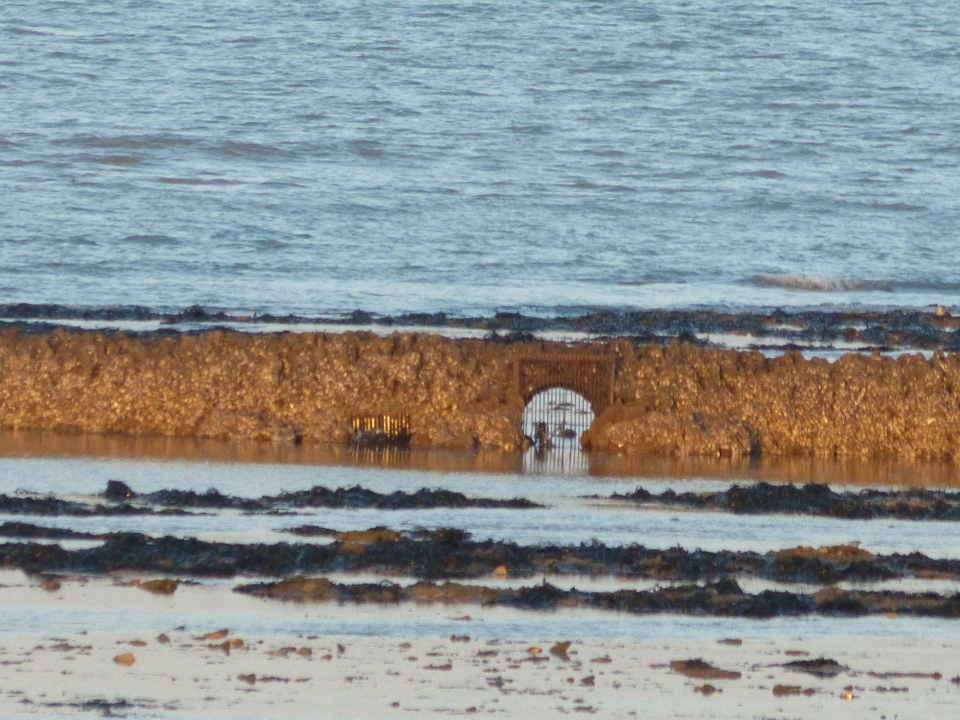 La Grande-Ecluse - Les Portes-en-Ré - 10 janvier 2014