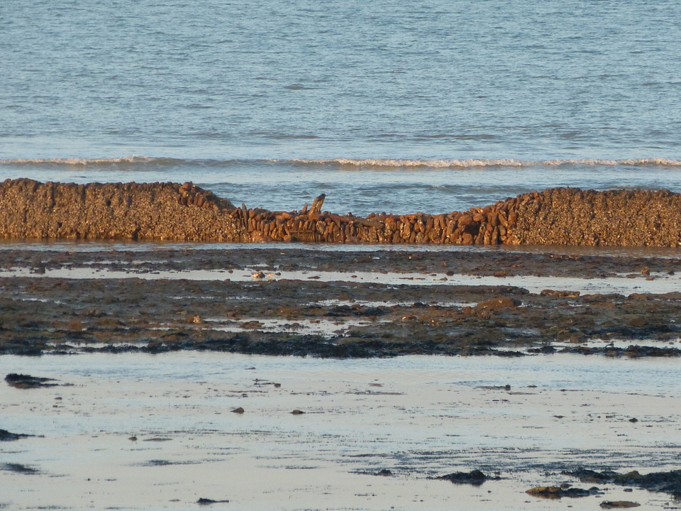 La Grande-Ecluse - Les Portes-en-Ré - 10 janvier 2014