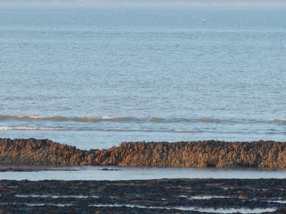 La Grande-Ecluse - Les Portes-en-Ré - 10 janvier 2014