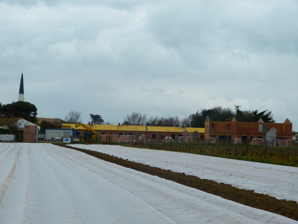 Chantier logements sociaux La Grange