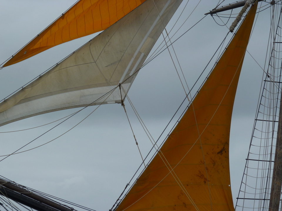Semaine du Golfe