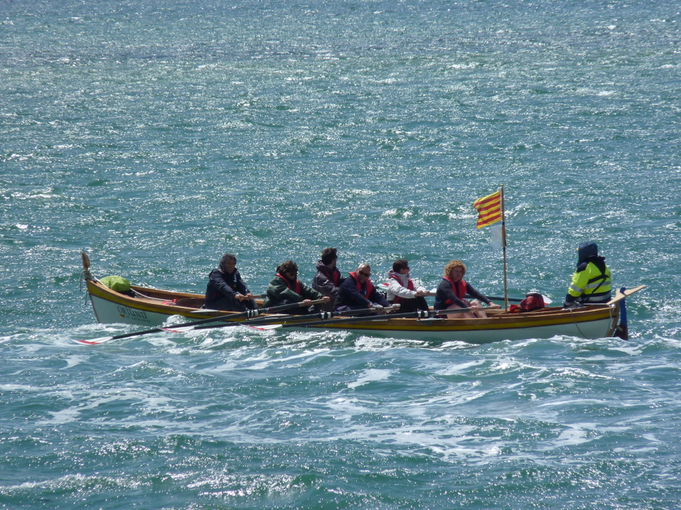 Semaine du Golfe - Beaux bâteaux bâteaux - Semaine du Golfe