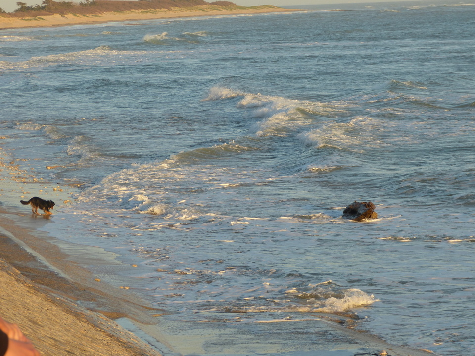 Mer aux Frères de la Côte