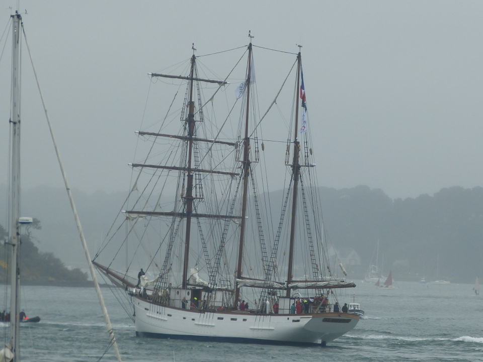 Semaine du Golfe - Beaux bâteaux bâteaux - Semaine du Golfe