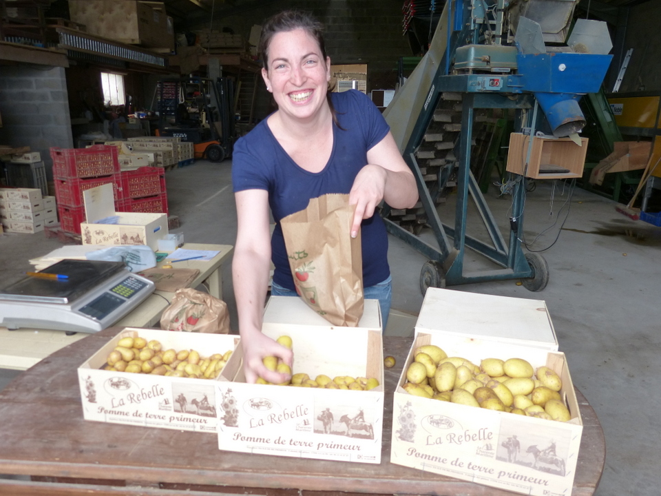 Pommes de terre rétaises.