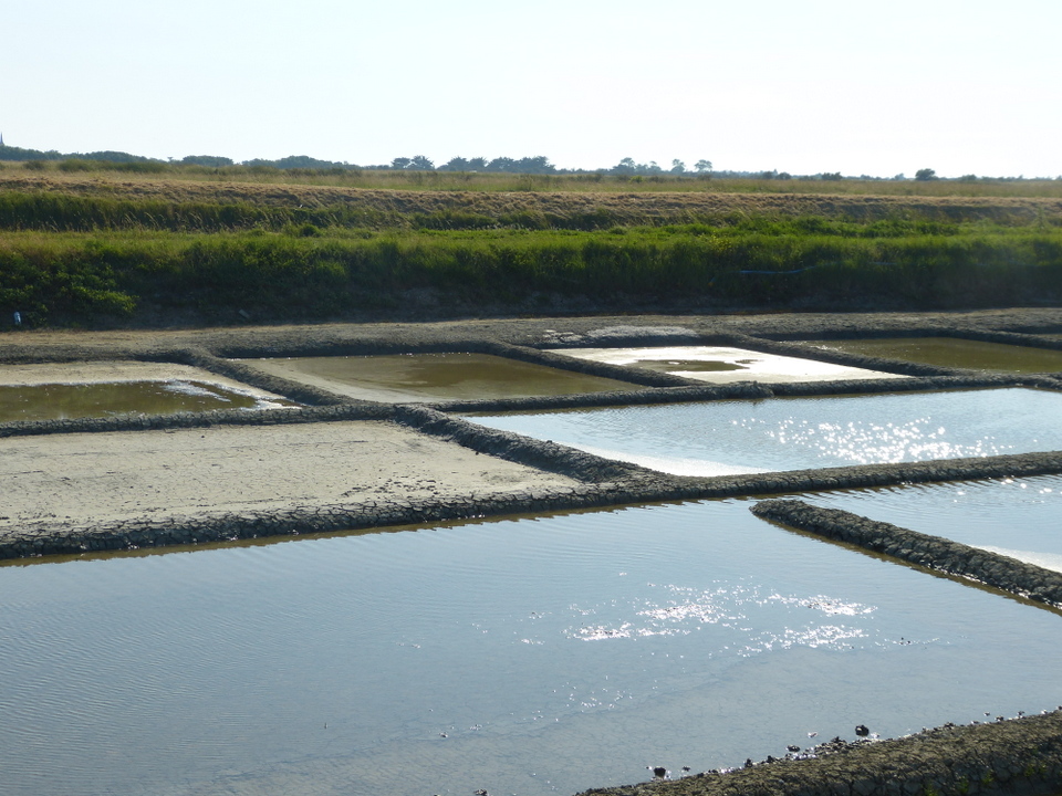 Marais salant - 5 juin 2013