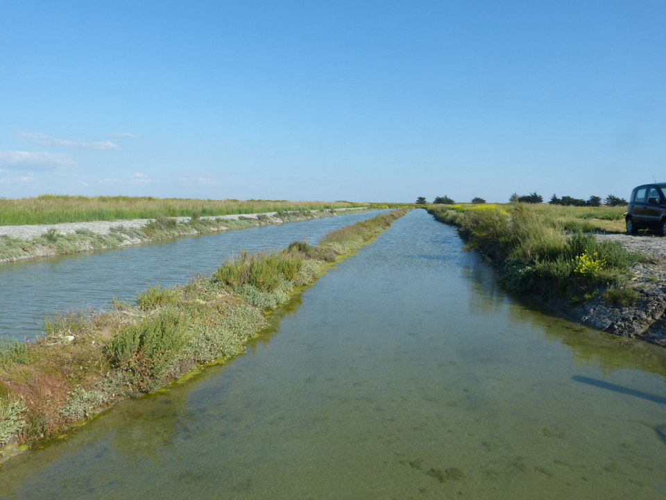 Marais salant - 5 juin 2013