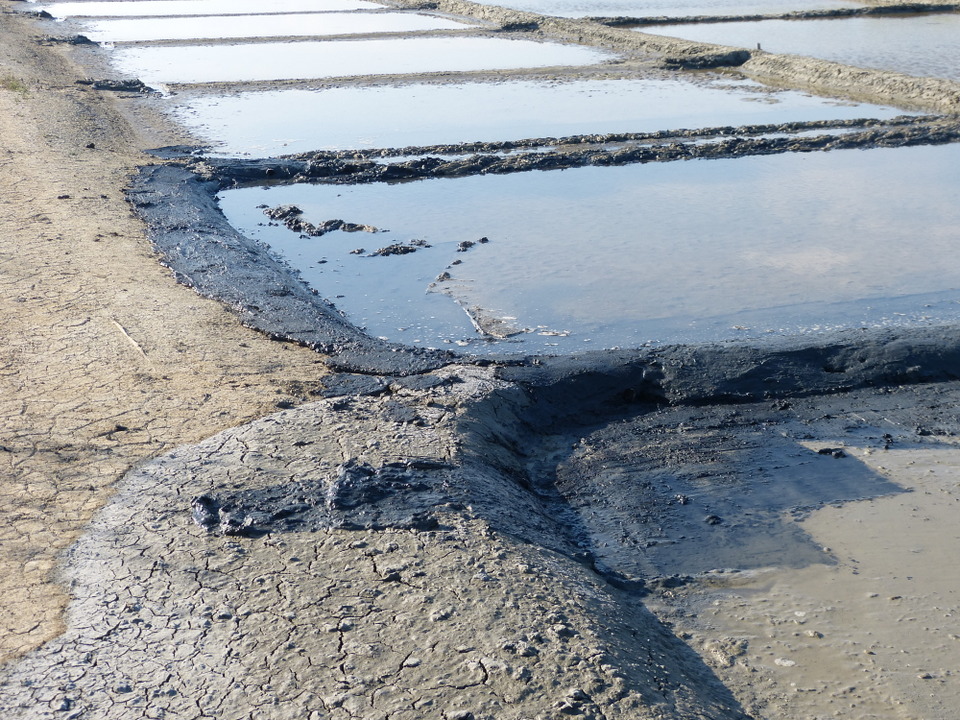 Marais salant - 5 juin 2013
