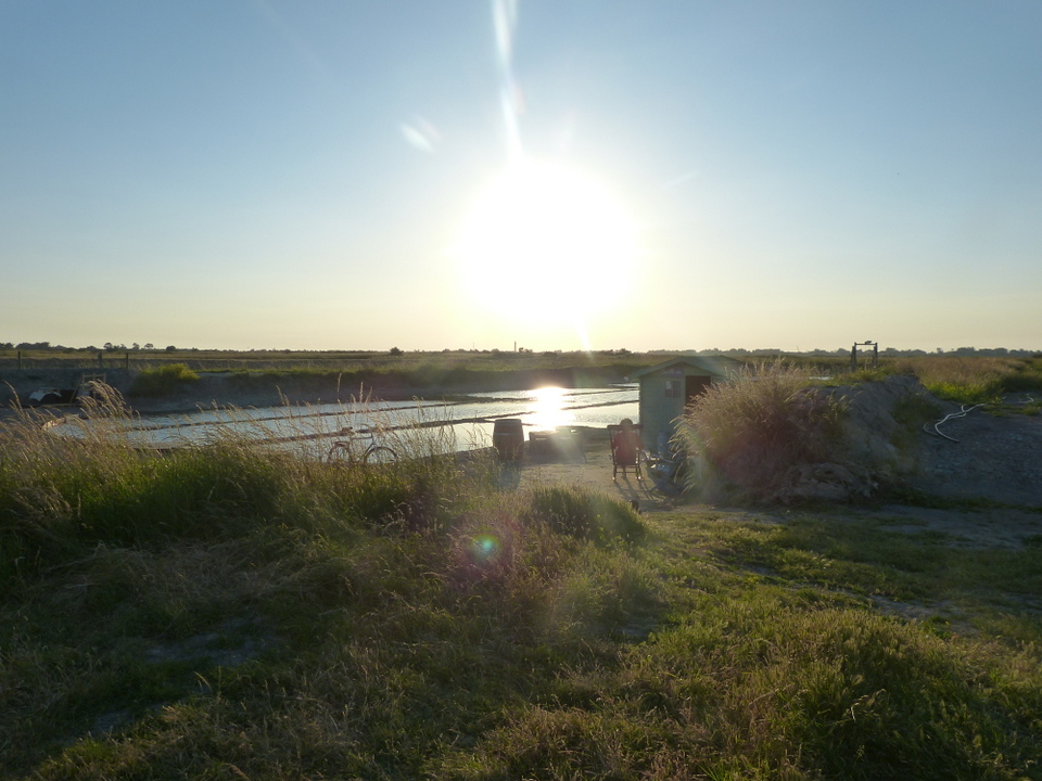 Marais salant - 5 juin 2013