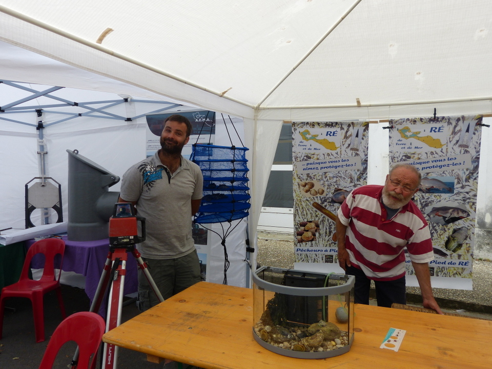Ars-en-Ré - Fête de la sardine et du port 2013