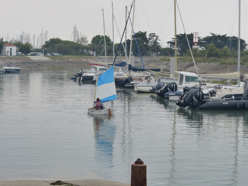 Optimist - Fête sardine de la sardine et du port 2013