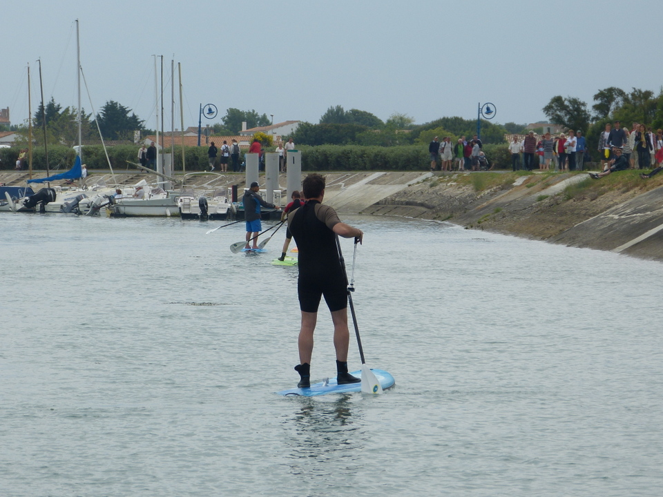 Paddle - Ars-en-Ré - Fête de la sardine et du port 2013