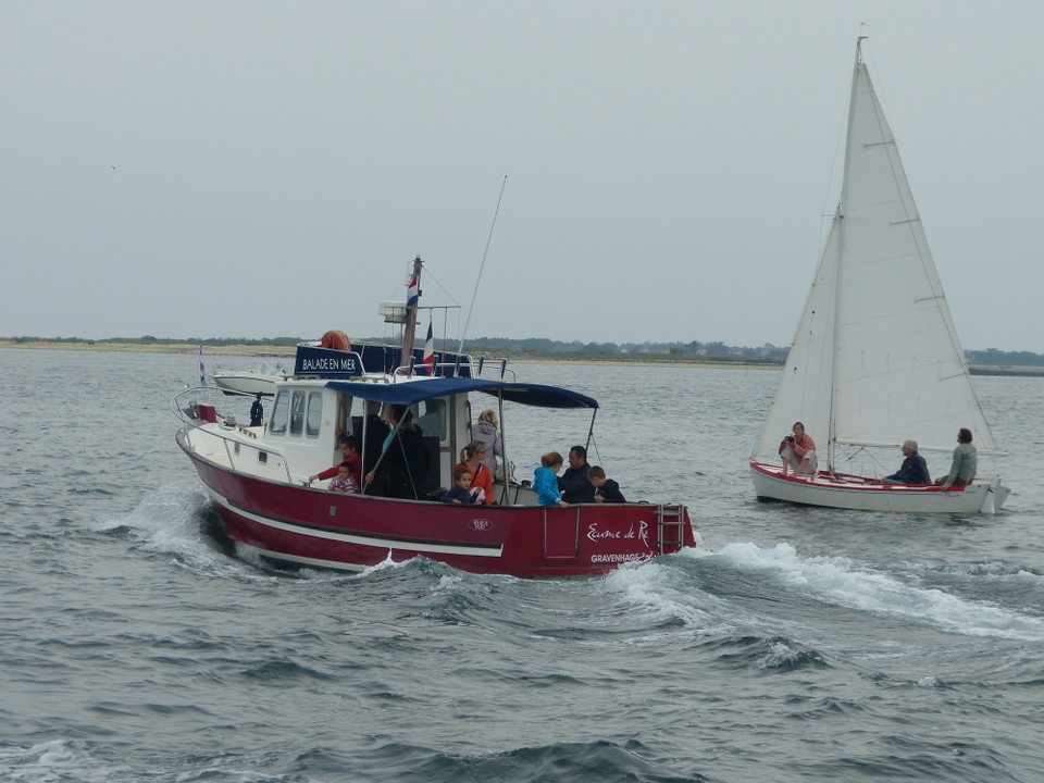 Ars-en-Ré - Fête de la sardine et du port 2013