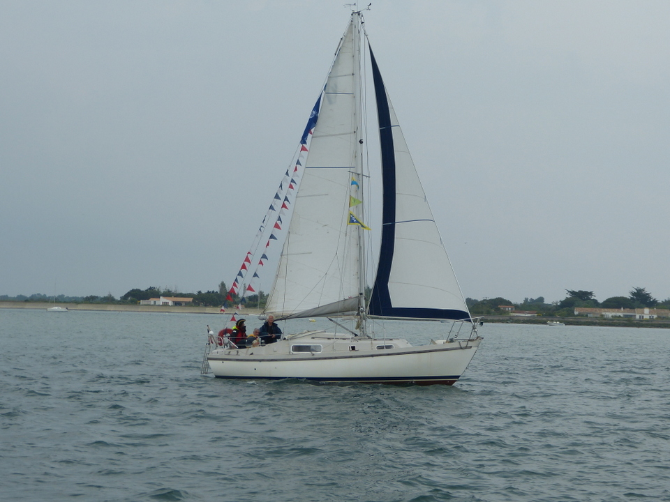 Ars-en-Ré - Fête de la sardine et du port 2013