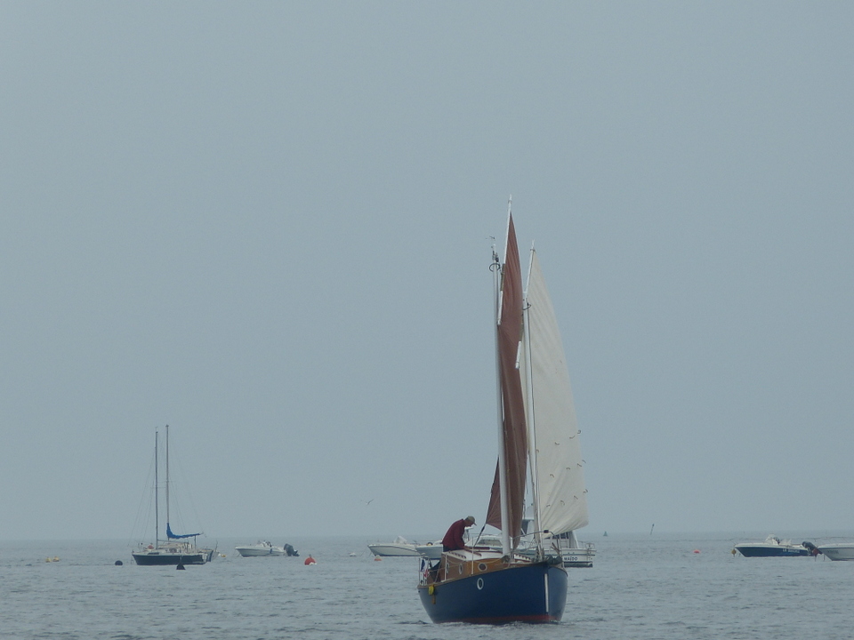 Ars-en-Ré - Fête de la sardine et du port 2013