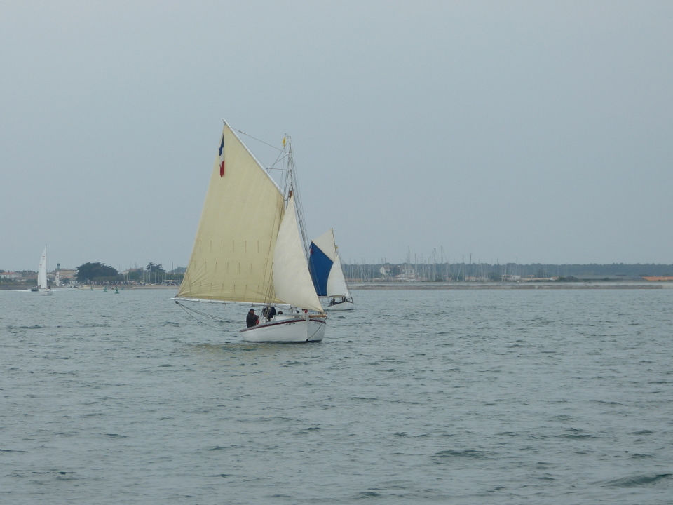 Ars-en-Ré - Fête de la sardine et du port 2013
