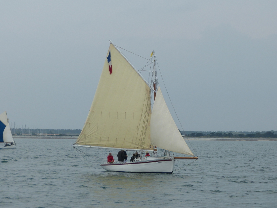 Ars-en-Ré - Fête de la sardine et du port 2013